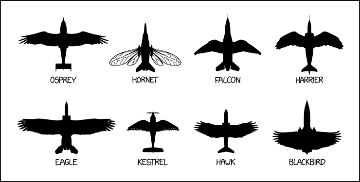 Be careful—it's breeding season, and some of these can be *extremely* defensive of their nests.
